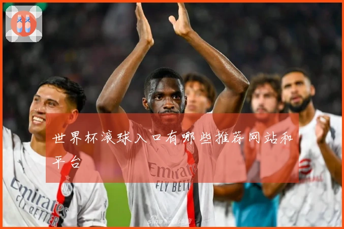 世界杯滚球入口有哪些推荐网站和平台